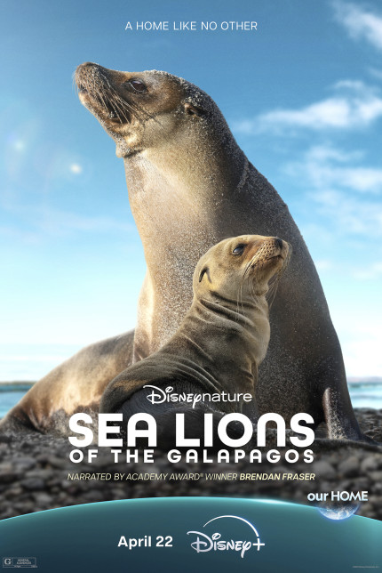 /watch-movie/sea-lions-of-the-galapagos