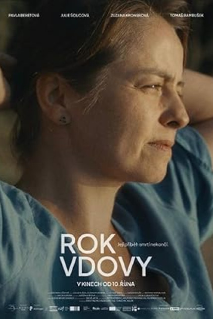 /watch-movie/year-of-the-widow