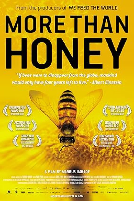 /watch-movie/more-than-honey