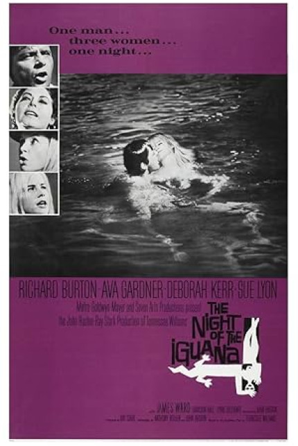 /watch-movie/the-night-of-the-iguana