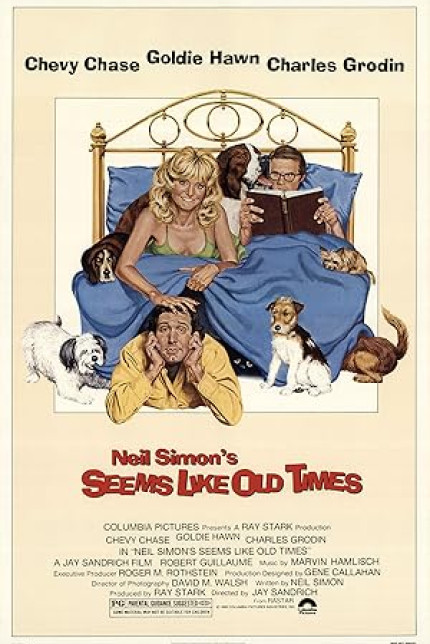 /watch-movie/seems-like-old-times