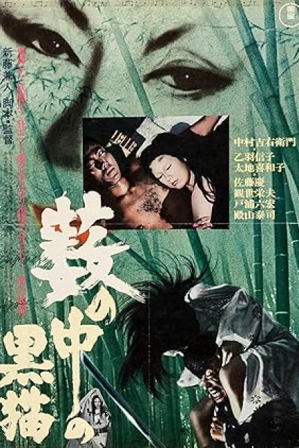 /watch-movie/black-cat