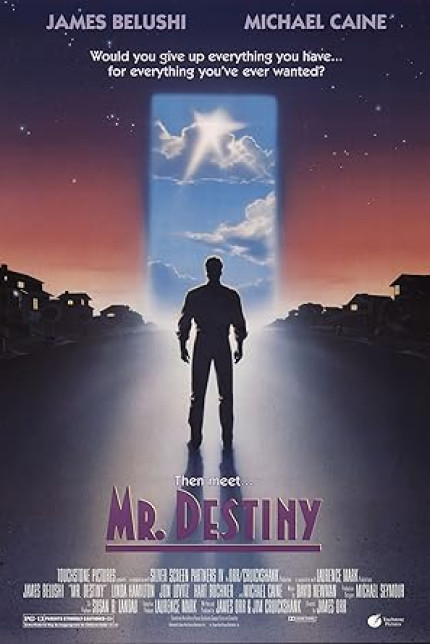 /watch-movie/mr-destiny