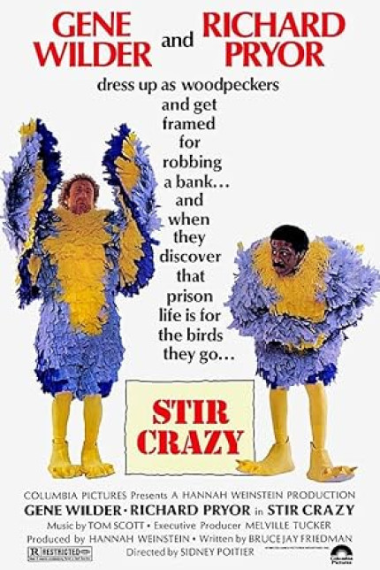 /watch-movie/stir-crazy