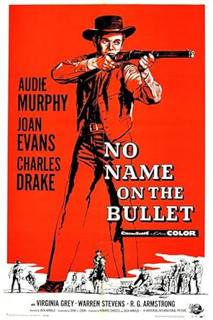 /watch-movie/no-name-on-the-bullet