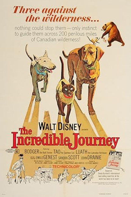 /watch-movie/the-incredible-journey