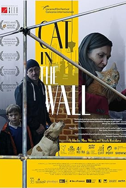 /watch-movie/cat-in-the-wall